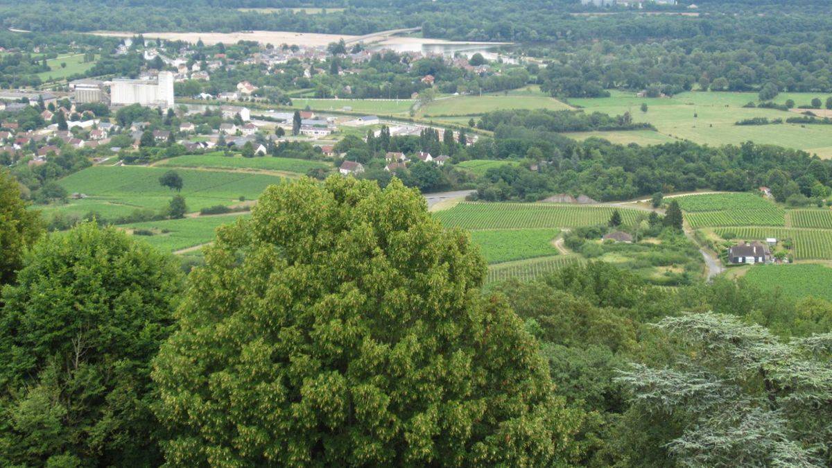 Vue depuis la tour