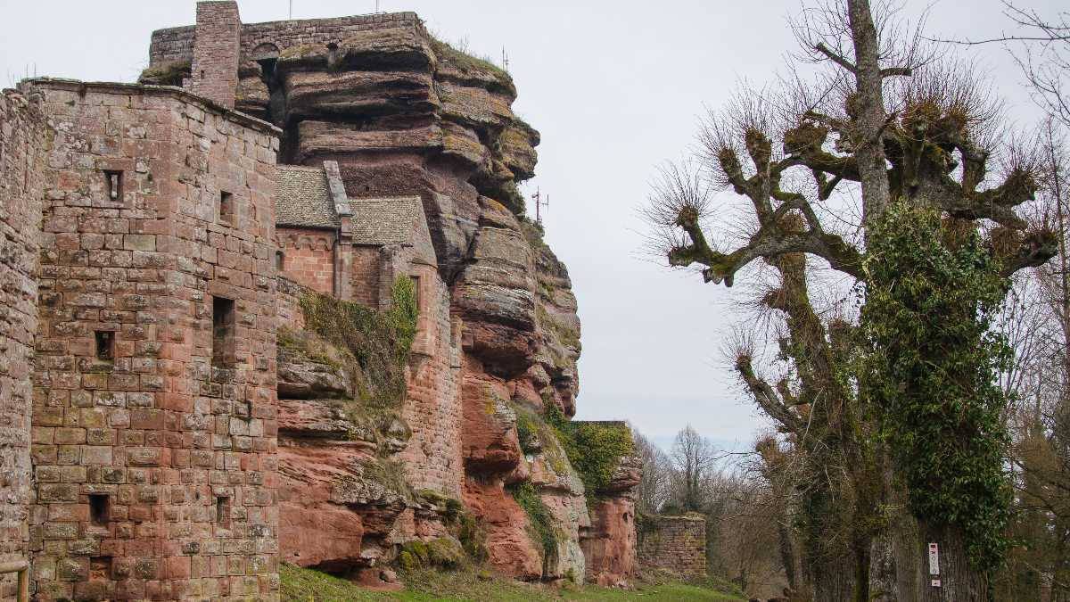 Château du Haut-Barr