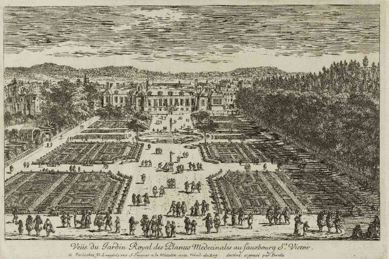 Jardin Royal des Plantes Médicinales, 1660
