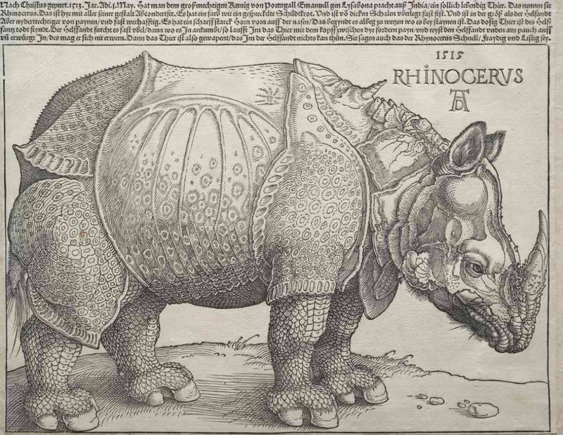 Le Rhinocéros (A. Dürer, 1515)
