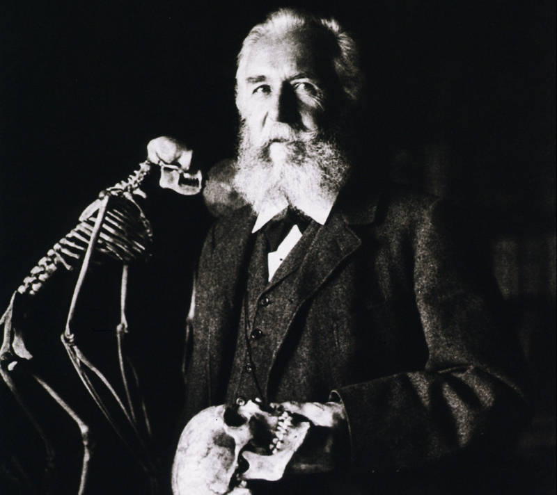 Ernst Haeckel, 1904
