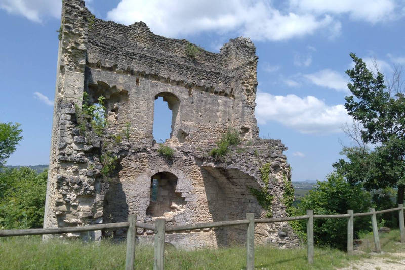Ruines du château delphinal de Beauvoir