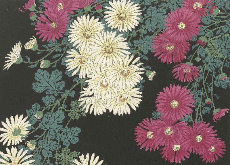 Chrysanthèmes (O. Koson, 1925-36)