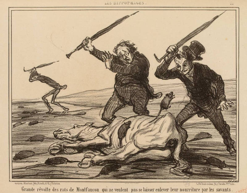 Révolte des rats de Montfaucon (H. Daumier, 1856)