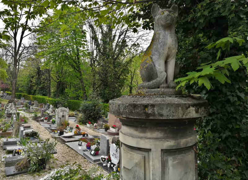 Le cimetière d'Asnières
